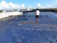 武威與蘭州防水堵漏與高性價比防水材料供應(yīng)指南